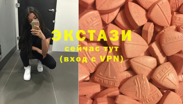 гидра Каменка