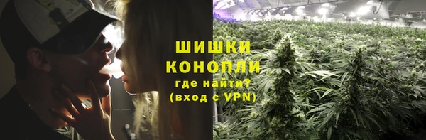 стафф Каменск-Шахтинский