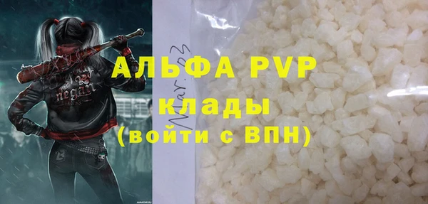 стафф Каменск-Шахтинский