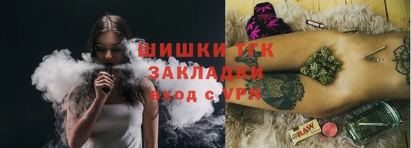 гидра Каменка