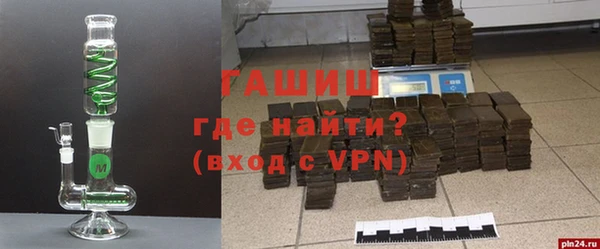 гидра Каменка