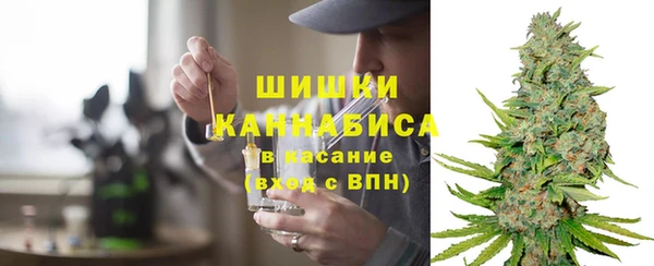стафф Каменск-Шахтинский