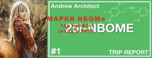 гидра Каменка