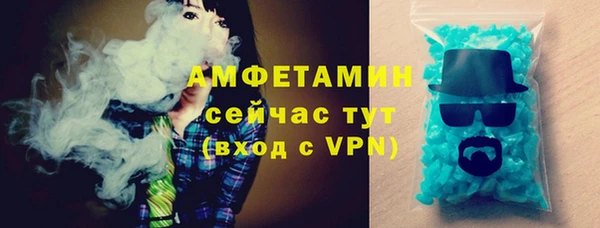 гидра Каменка