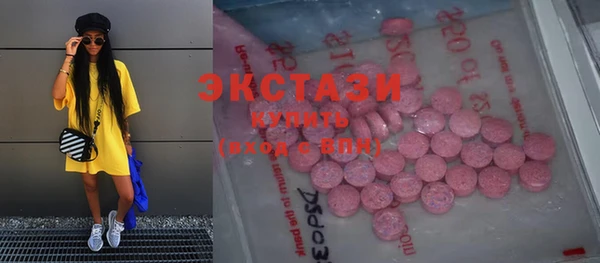 гидра Каменка