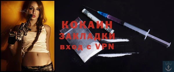 гидра Каменка