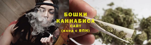 гидра Каменка