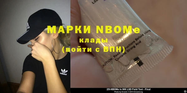 гидра Каменка