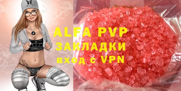 гидра Каменка