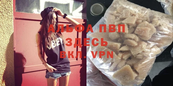 гидра Каменка