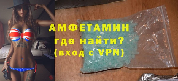 гидра Каменка