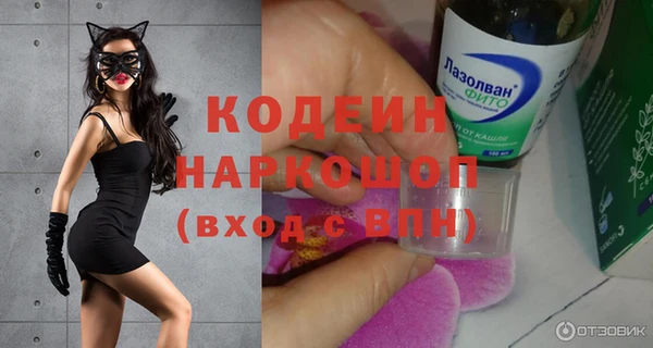 гидра Каменка