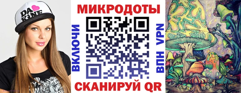 Галлюциногенные грибы Psilocybe  Купить где  Чернушка 